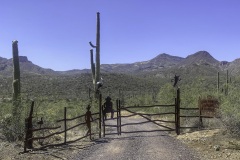 Harmony Hollow Trail