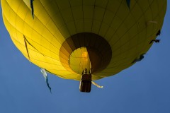 Balloon Festival