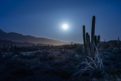 Desert Moonrise