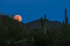 Moonrise at Lost Dog Trail