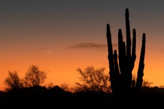 Crescent Moonset at Sunset