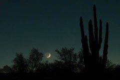 Blue Hour Moon