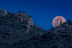 Moonrise at Saguaro National Park