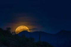 Golden Moonrise