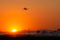 Sky Harbor