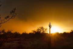 Smoky Sunset