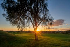 Sunrays on the Links