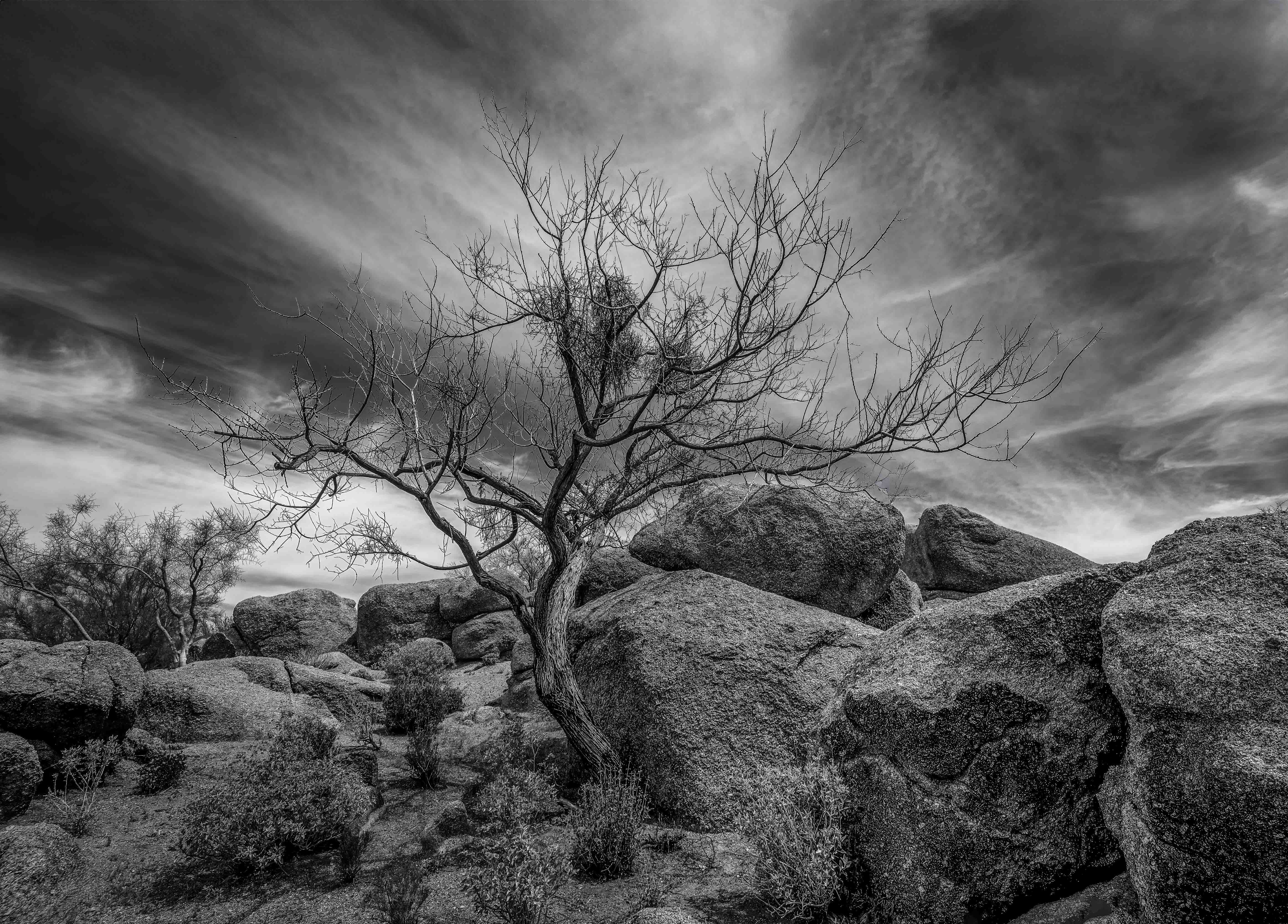 TM24126-Edit-Edit-Edit-Edit