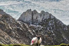 Standoff at Achill Island