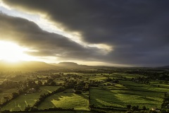 Golden Sunrise 