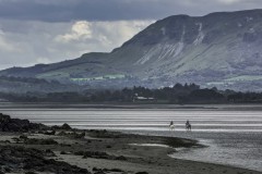 Lissadell Beach Equestrians