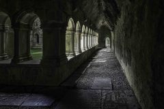 Quin Abbey Cloisters 