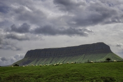 Grazing Benbulben