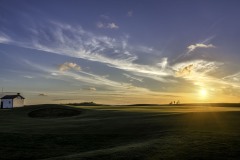 Foursome in the Sun