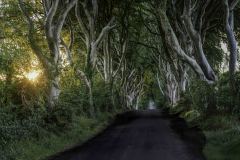 Dark Hedges 9.30pm