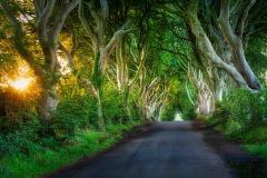 Dark Hedges 9.30pm