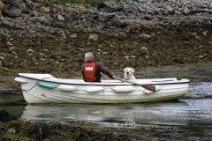 Canine Coxswain 
