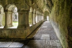 Quin Abbey Cloisters