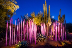 Chihuly Exhibit