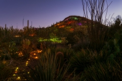 Bruce Munro Exhibit