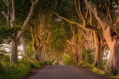 Dark Hedges, Northern Ireland