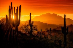 Desert Sunrise, Scottsdale