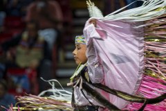 Pow Wow Dancer Series