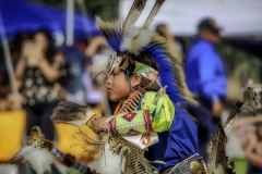 Pow Wow Dancer Series