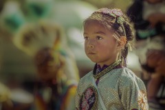 Pow Wow Dancer Series