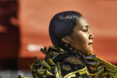 Pow Wow Dancer Series 