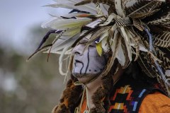 Pow Wow Dancer Series