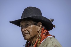 Pow Wow Dancer Series