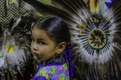 Pow Wow Dancer Series 