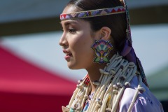 Pow Wow Dancer Series