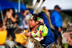Pow Wow Dancer Series