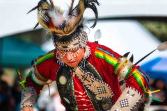 Pow Wow Dancer Series