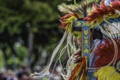 Pow Wow Dancer Series