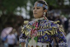 Pow Wow Dancer Series