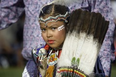 Pow Wow Dancer Series